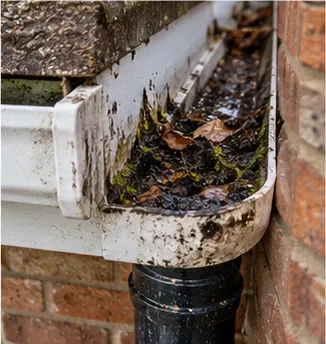 Leaves and silt blocking a white gutter outlet above a black downpipe