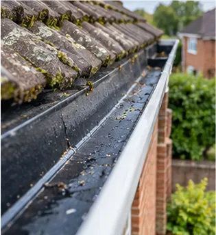 The same black gutter cleared of leaves and moss, wet and empty along its length